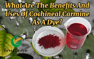 What Are The Benefits And Uses Of Cochineal Carmine As A Dye?