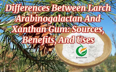 Differences Between Larch Arabinogalactan And Xanthan Gum: Sources, Benefits,...