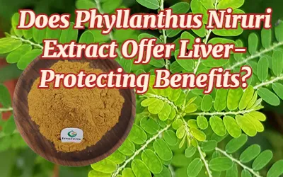 Does Phyllanthus Niruri Extract Offer Liver-Protecting Benefits?