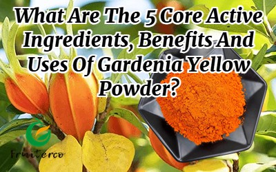 What Are The 5 Core Active Ingredients, Benefits And Uses Of Gardenia Yellow ...