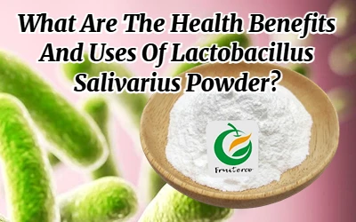 What Are The Health Benefits And Uses Of Ligilactobacillus Salivarius Powder?