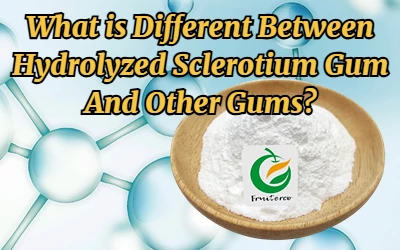 What is Different Between Hydrolyzed Sclerotium Gum And Other Gums?