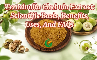 Terminalia Chebula Extract: Scientific Basis, Benefits, Uses, And FAQs