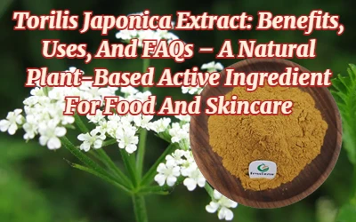 Torilis Japonica Extract: Benefits, Uses, And FAQs – A Natural Plant-Based Ac...