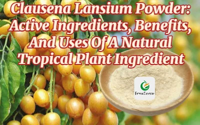 Clausena Lansium Powder: Active Ingredients, Benefits, And Uses Of A Natural ...