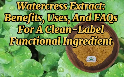 Watercress Extract: Benefits, Uses, And FAQs For A Clean-Label Functional Ing...