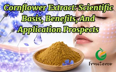 Cornflower Extract: Scientific Basis, Benefits, And Application Prospects