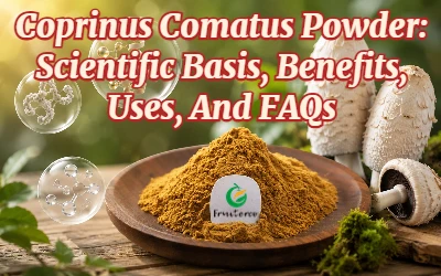 Coprinus Comatus Powder: Scientific Basis, Benefits, Uses, And FAQs As An Edi...