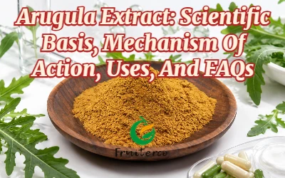 Arugula Extract: Scientific Basis, Mechanism Of Action, Uses, And FAQs