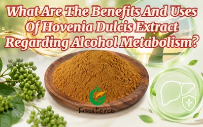 What Are The Benefits And Uses Of Hovenia Dulcis Extract Regarding Alcohol Me...