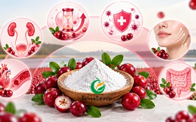 What Other Benefits Do Cranberries Offer, Besides Supporting Women's Health?