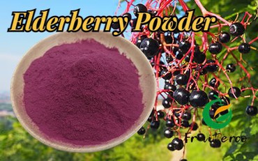 Elderberry Powder 2 Elderberry Powder 2