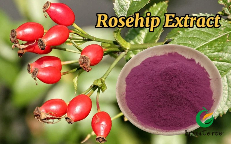 Rose Hip Extract Rose Hip Extract