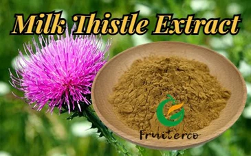 Milk Thistle Milk Thistle