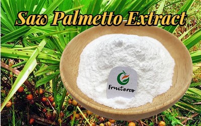 Saw Palmetto Oil 1 Saw Palmetto Oil 1