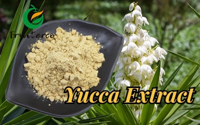 Yucca Extract
