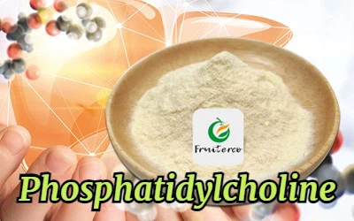 Phosphatidylcholine 1 Phosphatidylcholine 1
