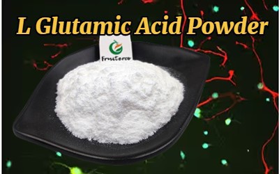 L Glutamic Acid Powder 2 L Glutamic Acid Powder 2