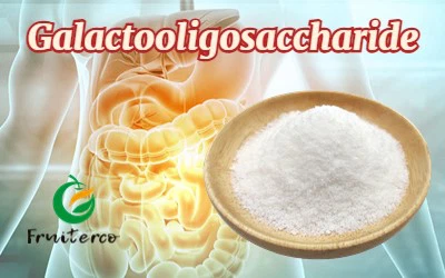Galactooligosaccharide Galactooligosaccharide
