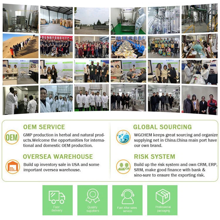 Customer factory inspection.jpg