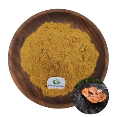 Antrodia Camphorata Extract Powder