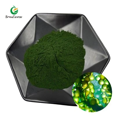 Aphanizomenon Flos Aquae Powder