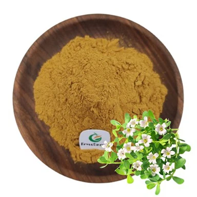 Bacopa Monnieri Extract