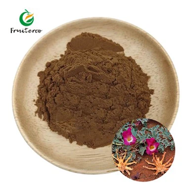 Devil's Claw Root Extract