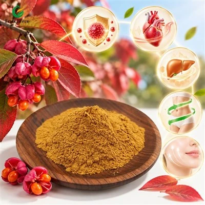 Euonymus Alatus Extract