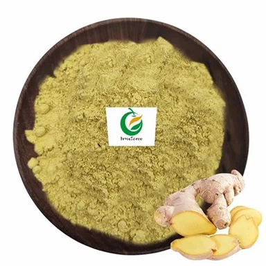 Ginger Root Extract Powder