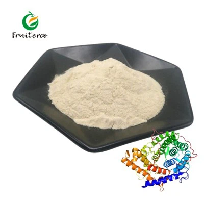 Glucoamylase Enzyme