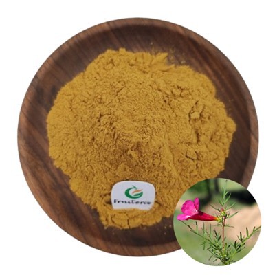Incarvillea Sinensis Powder