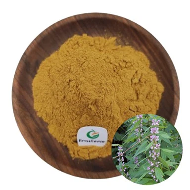 Motherwort Herb Extract