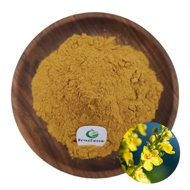 Mullein Leaf Extract