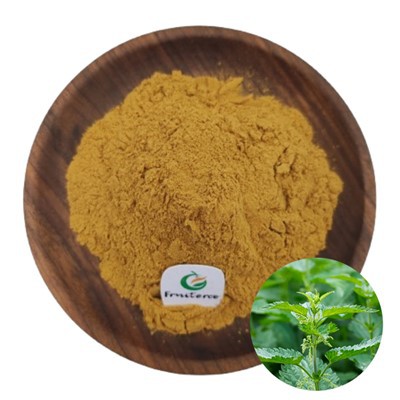 Nettle Extract Powder