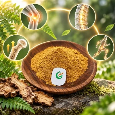 Rhizoma Drynariae Extract