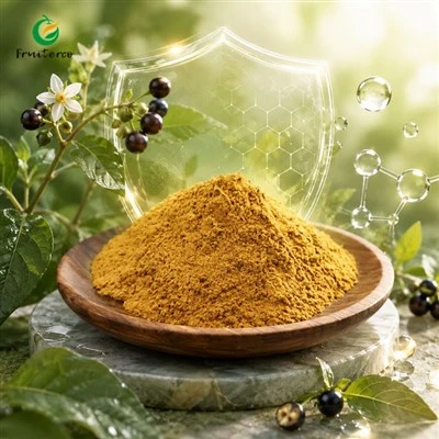 Solanum Nigrum Extract
