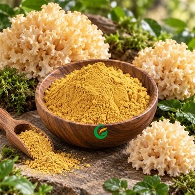 Sparassis Crispa Extract