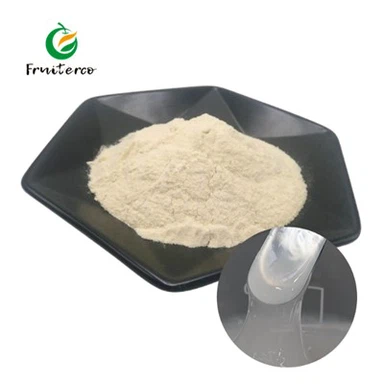 Xanthan Gum Bulk
