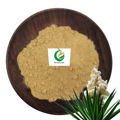 Yucca Extract Powder
