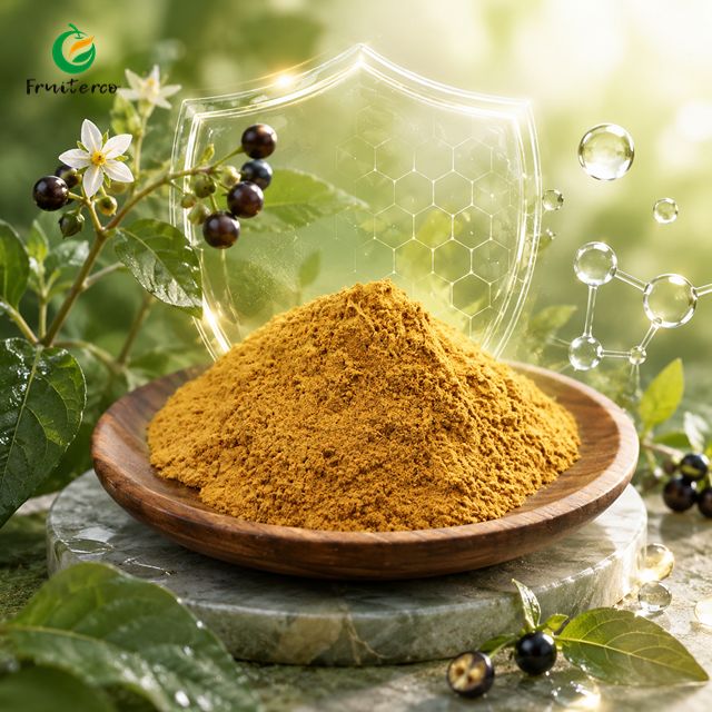 Solanum Nigrum Extract